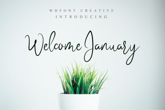 Reviewing Welcome January: A Designer’s Take on Script Amp