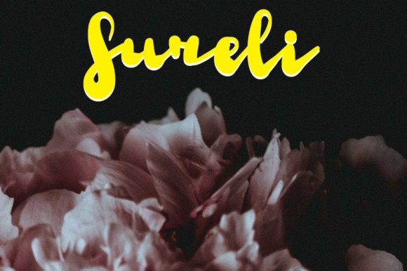Sureli Font Review: Elevate Your Campaign Visuals